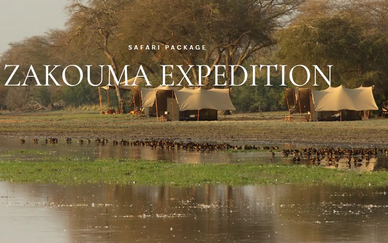 Zakouma Expedition Safari Chad